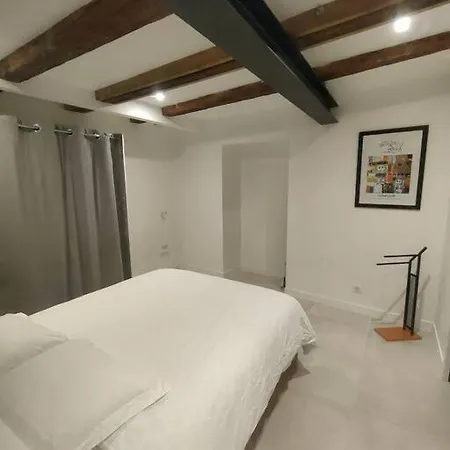Appartement Capitole Hypercentre Toulouse